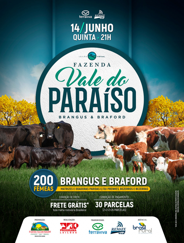 Virtual Brangus & Braford Faz. Paraíso