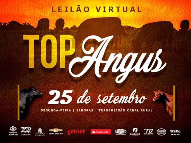 Virtual Top Angus