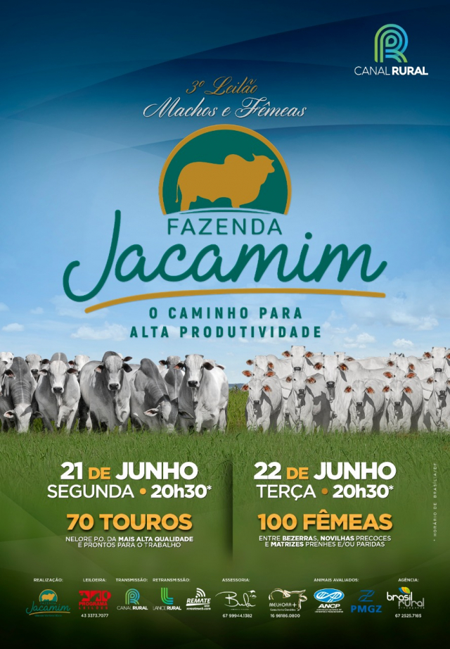 3° Leilão Machos e Fêmeas Fazenda Jacamim - Fêmeas Jacamim