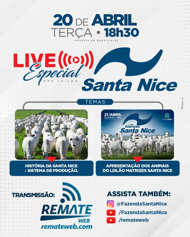 Live Especial - Leilão Matrizes Santa Nice