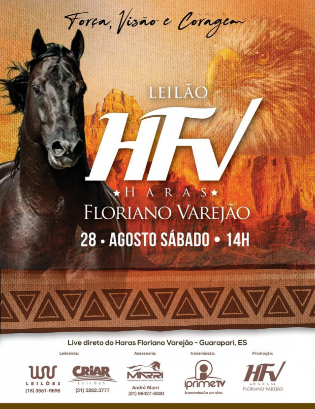 Leilão HFV Haras