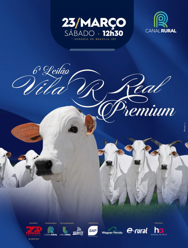 6° Leilão Virtual Vila Real Premium