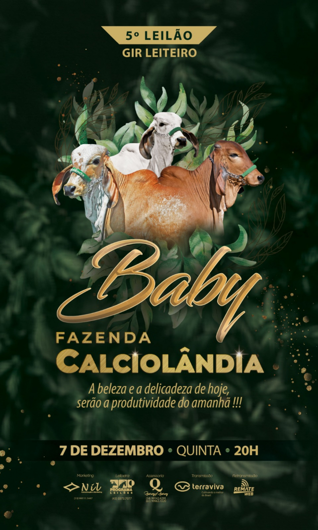 5° Leilão Gir Leiteiro Baby Fazenda Calciolândia