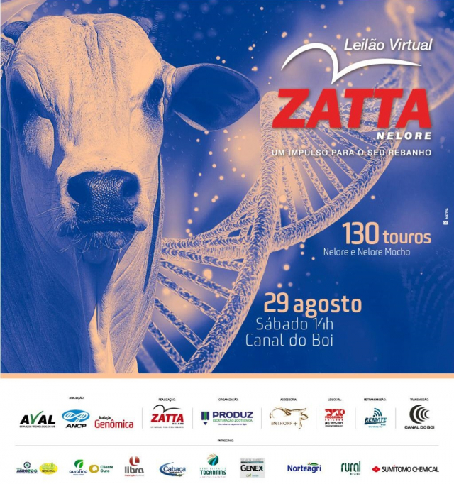 Leilão Virtual Zatta
