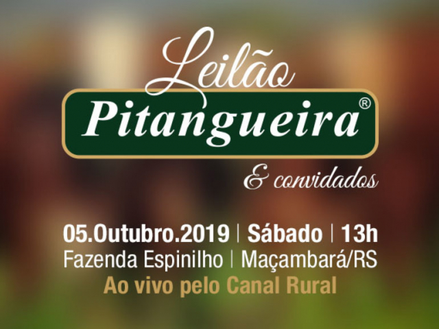 Leilão Pitangueira & Convidados