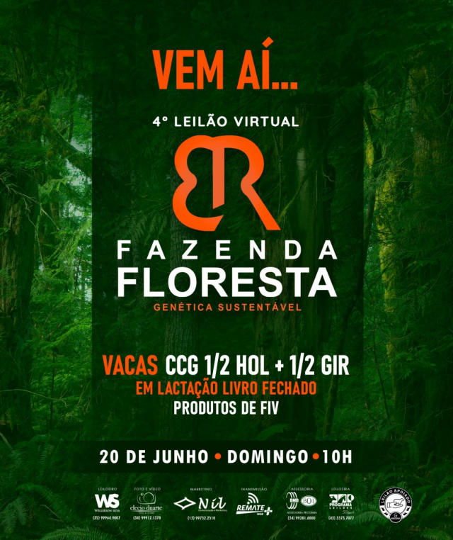 4° Leilão Virtual Fazenda Floresta