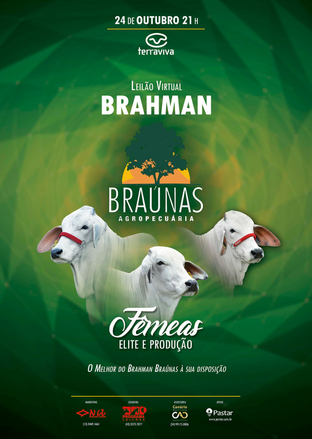 Virtual Brahman Braunas