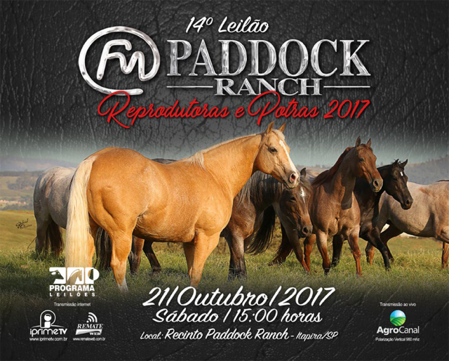 14º Leilão Paddock Ranch - Reprodutoras e Potras 2017