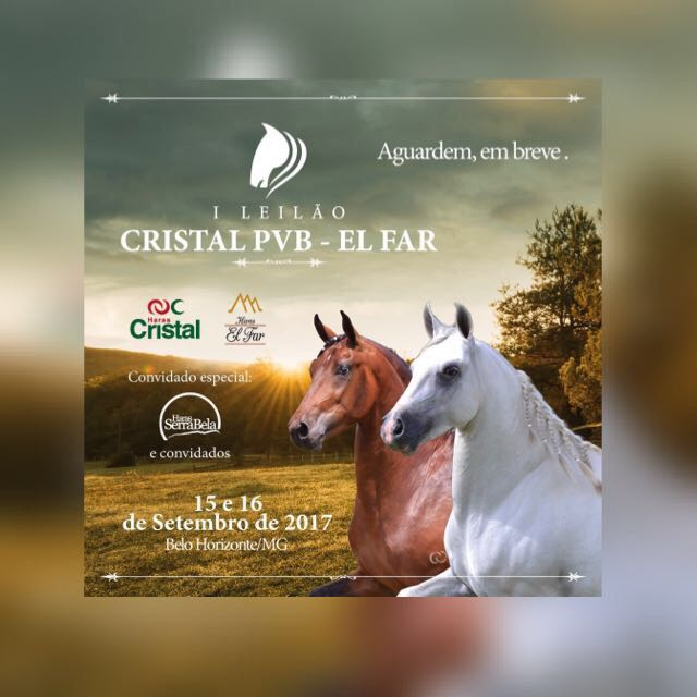 I Leilão Haras Cristal PVB & Haras El Far