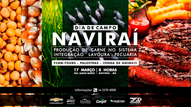 Dia de Campo/Shopping Naviraí