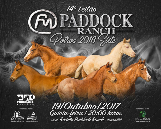 14º Leilão Paddock Ranch - Potros 2016 Elite