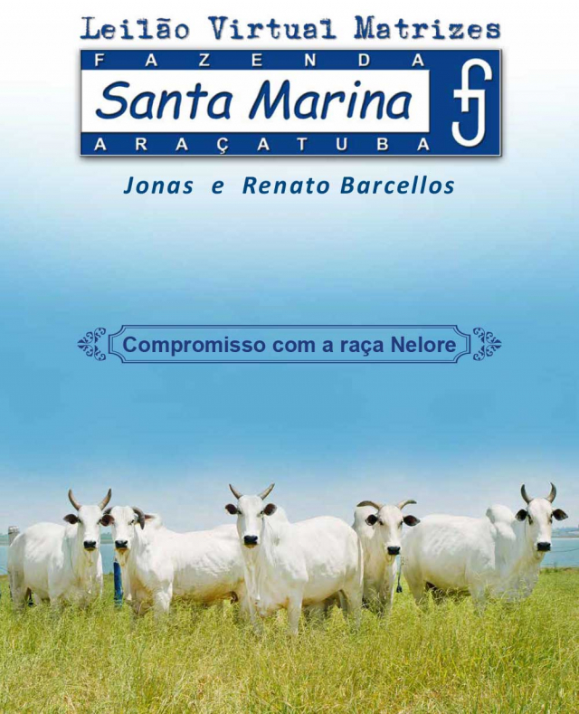 Virtual Matrizes Santa Marina