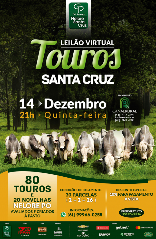 Virtual Touros Santa Cruz