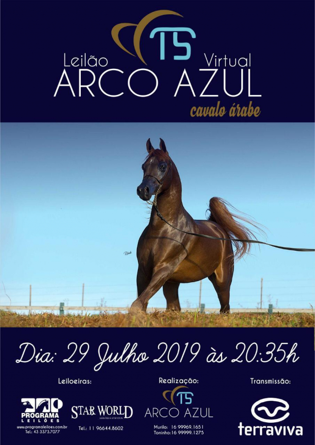 Leilão Virtual Arco Azul Cavalo Árabe